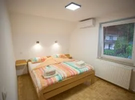 APARTMAJI HUBI