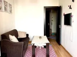 Cozy 2 rooms apartment in the center, free WiFi