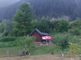 Tiny house Casa Axa，位于Pîrîu Cîrjei的度假屋