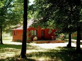 Chalet en forêt, brame du cerf