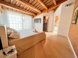 ERMAN HOUSE Mansarda sulla Riviera del Brenta Venezia，位于多洛的酒店