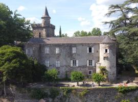 Le Château de Cambiaire，位于Saint-Étienne-Vallée-Française的住宿加早餐旅馆