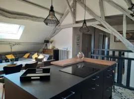 Grand appartement tout confort proche de CHAMBORD