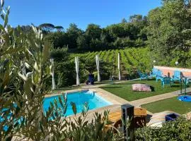 La Vie Est Belle En Provence