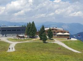 Berggasthof Schatzbergalm，位于Thierbach的旅馆