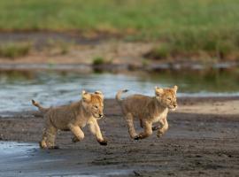 Africa Safari South Serengeti Ndutu Ngorongoro，位于Sinoni的度假短租房