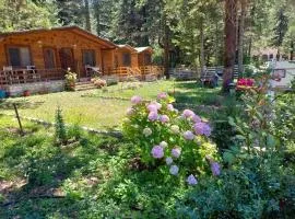 Bujtina Uji I Panjes, Log Cabins