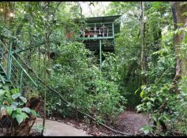 Jungle Living Tree Houses，位于蒙泰韦尔德哥斯达黎加的山林小屋