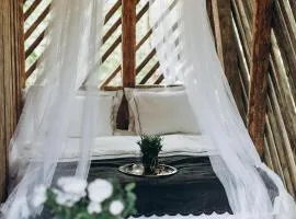 Shed Experience Outdoor