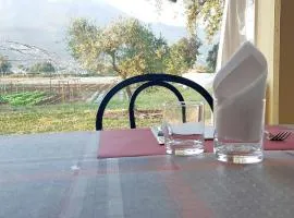 AZIENDA AGRITURISTICA LA VECCHIA QUERCIA