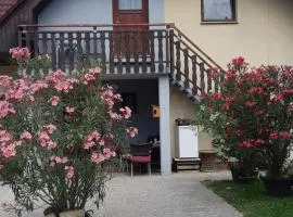 Ferienwohnung 1 Jöbstl