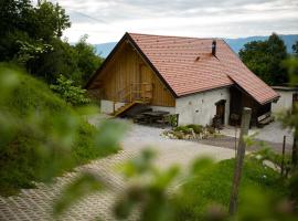 Vineyard cottage Škatlar 3，位于奥托亚克的乡村别墅