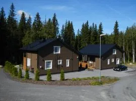 Himos Villa Nummenranta 1