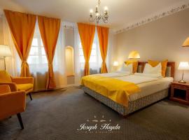 CASA JOSEPH HAYDN，位于锡吉什瓦拉的酒店