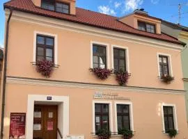 Penzion a wellness U Třeboňské madony