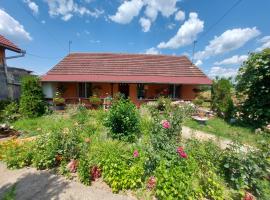 Casa de vacanta in Tara Fagarasului，位于Beclean的别墅