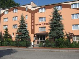 HOTELIK POD DĘBEM，位于Chocianów的酒店