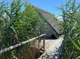 Pfahlbau Seehütte am Neusiedlersee - Waterfront 2，位于拉斯特的酒店