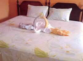 Island Dreams Hotel，位于金斯敦的酒店