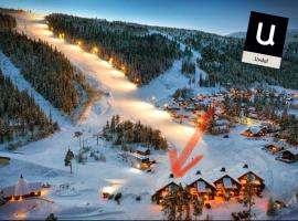 Mountain retreat in Uvdal WIFI SAUNA，位于Uvdal的酒店