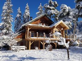 Magnifique chalet en rondins avec sauna - Vercors，位于维拉尔-德朗的酒店