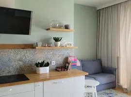 Elegancki Apartament