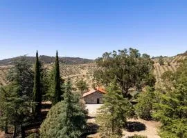 Acushla Original House Douro