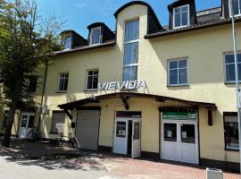 VIEVIJA HOTEL，位于Vievis的酒店