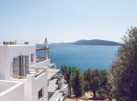 Vassiliki Residence Skyros Island，位于斯基罗斯岛斯基罗斯港口附近的酒店