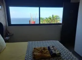 CHAMBRE CHEZ L HABITANT PISCINE VUE MER SDB et TERRASSE PRIVEE