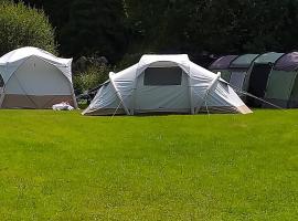 St Mullins Camping，位于Saint MullinsCarrigleade Golf Course附近的酒店