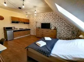 Apartament przy Brzozowej Polanie
