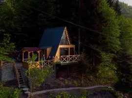 Forest House