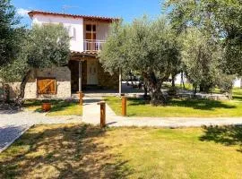 Oliviera - House in Nature