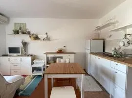 Vili Apartment Quiet leisure in Preko