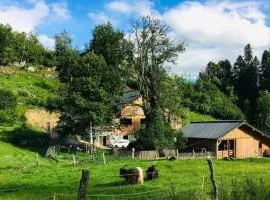 Gîte le creux de vennes