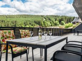 Mountain Apartments Klínovec Hexagon，位于卢捷纳普德克利诺夫琴的酒店