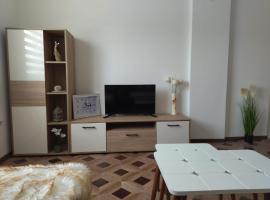 Apartman i sobe Milica Vrnjacka Banja，位于Vrnjci的酒店