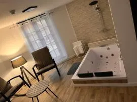 Magnifique Loft 35m2 Jacuzzi RVB NIGHT 1