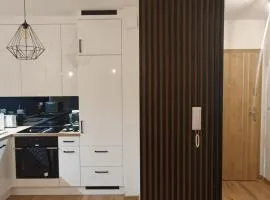 Apartament Number One NOVA WOZOWNIA