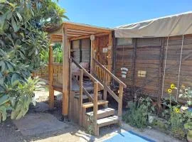 加利利贝都因营地山林小屋
