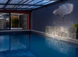 Villa Seyal - avec piscine - jacuzzi - sauna & climatisation，位于勒芒的乡村别墅