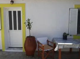 Lemon Garden 2