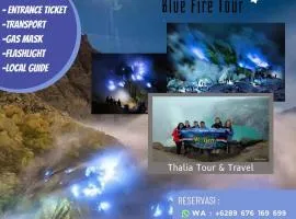 Thalia Homestay & Ijen Bromo Tour