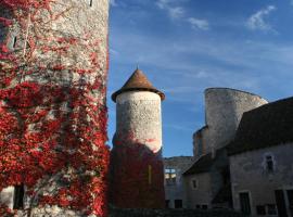 Chateau d'Ingrandes，位于Ingrandes的酒店