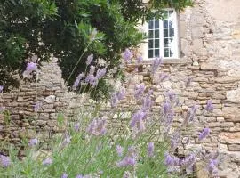 Partie de Château du XI ieme à Canet d'Aude