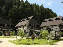 Complex Lions Bucovina