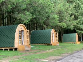 Camping Pods at Colliford Tavern，位于博德明的露营地