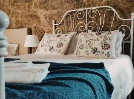 金塔坎塞拉度假屋