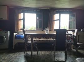 Guest House Eceri，位于梅斯蒂亚的酒店